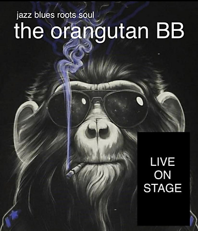 Live muziek in Café de Pieter, Maastricht